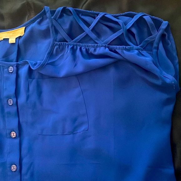 Sheer Button Up - Picture 2 of 3